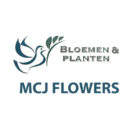 MCJ